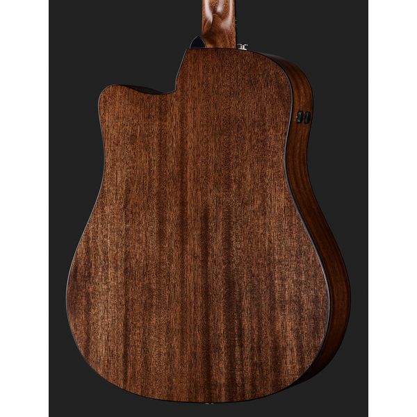 Ibanez AAD170CE-LGS
