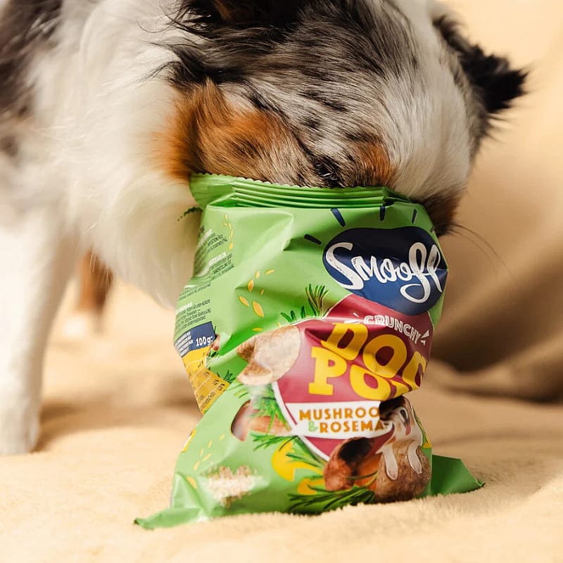 Smoofl Dog Pops! Snacks 24 gram | Paddenstoel & rozemarijn | 15330.2