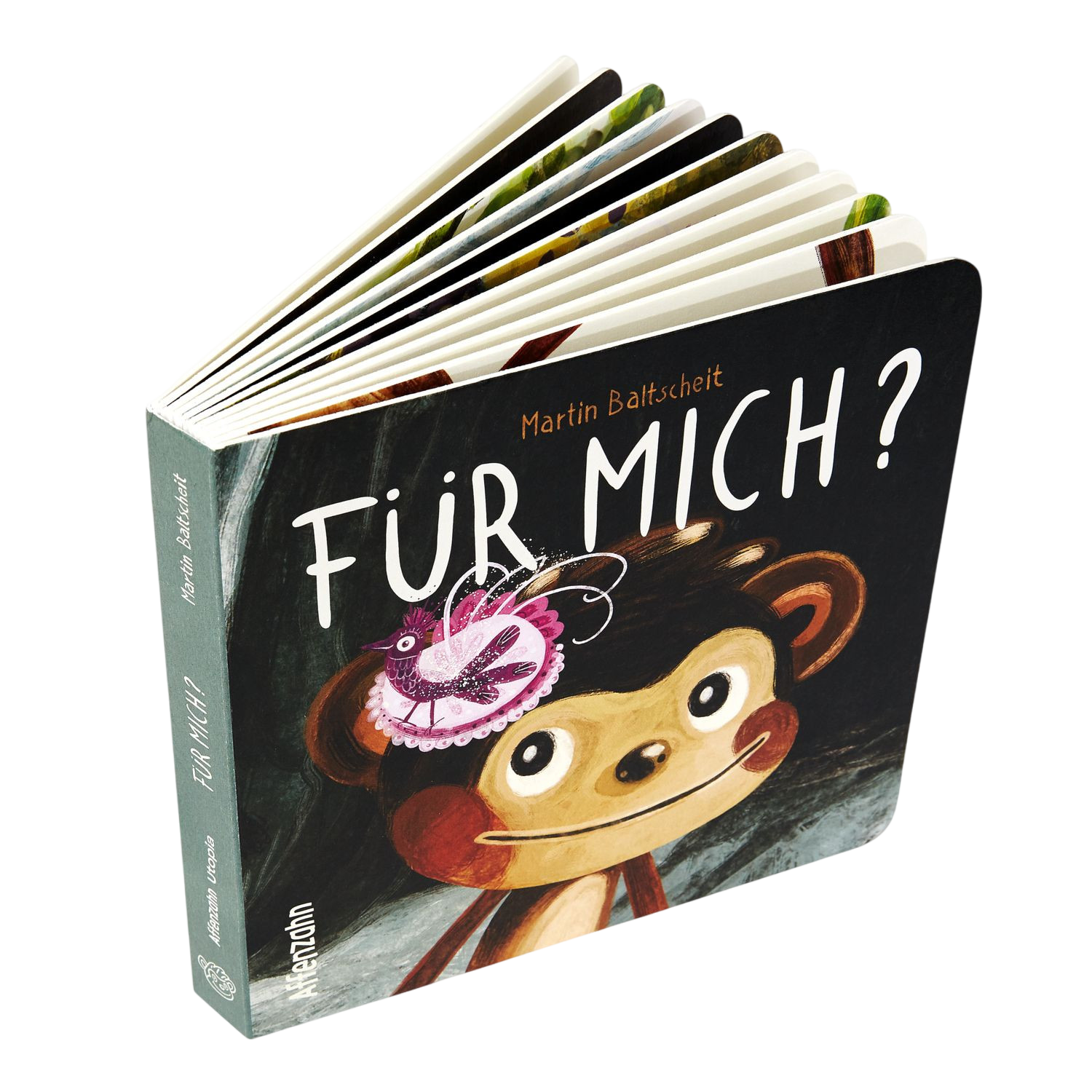 Pappbuch 