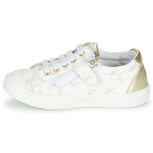 GBB - MATIA - Blanc / Doré