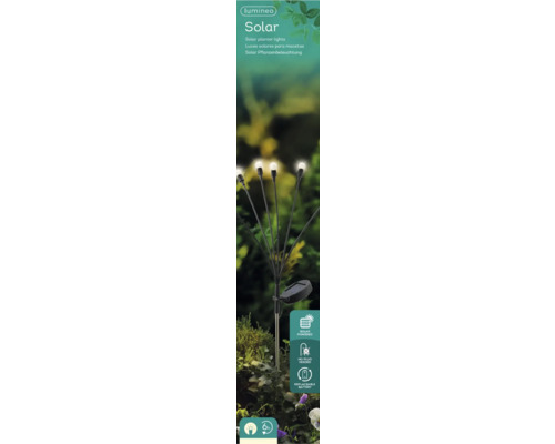 Lumineo Solar warm witte staaflamp