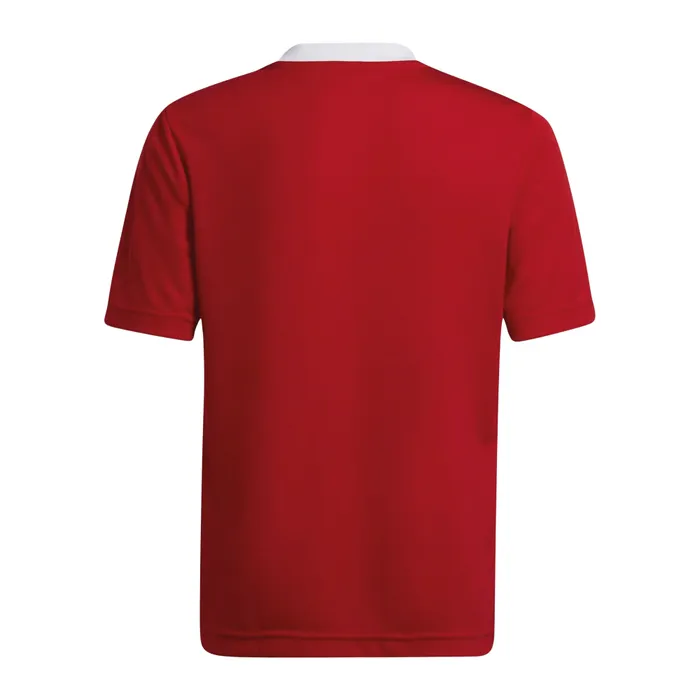 Adidas Entrada 22 SS Shirt Junior