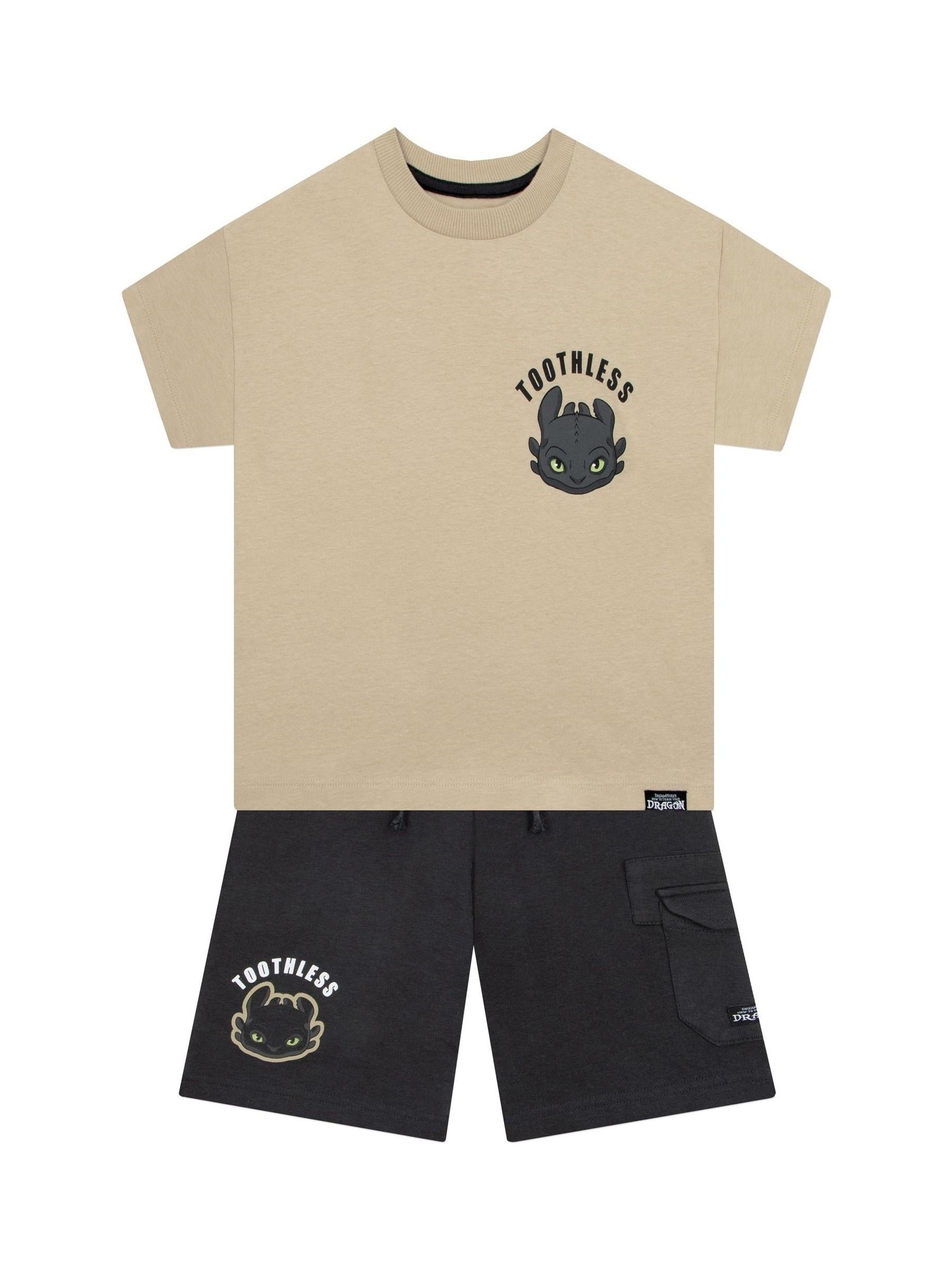 Character How To Train Your Dragon Print T-Shirt And Shorts Set