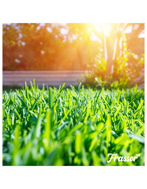 Frassor Insectenmest Gazon Frass - Gazonmeststoffen