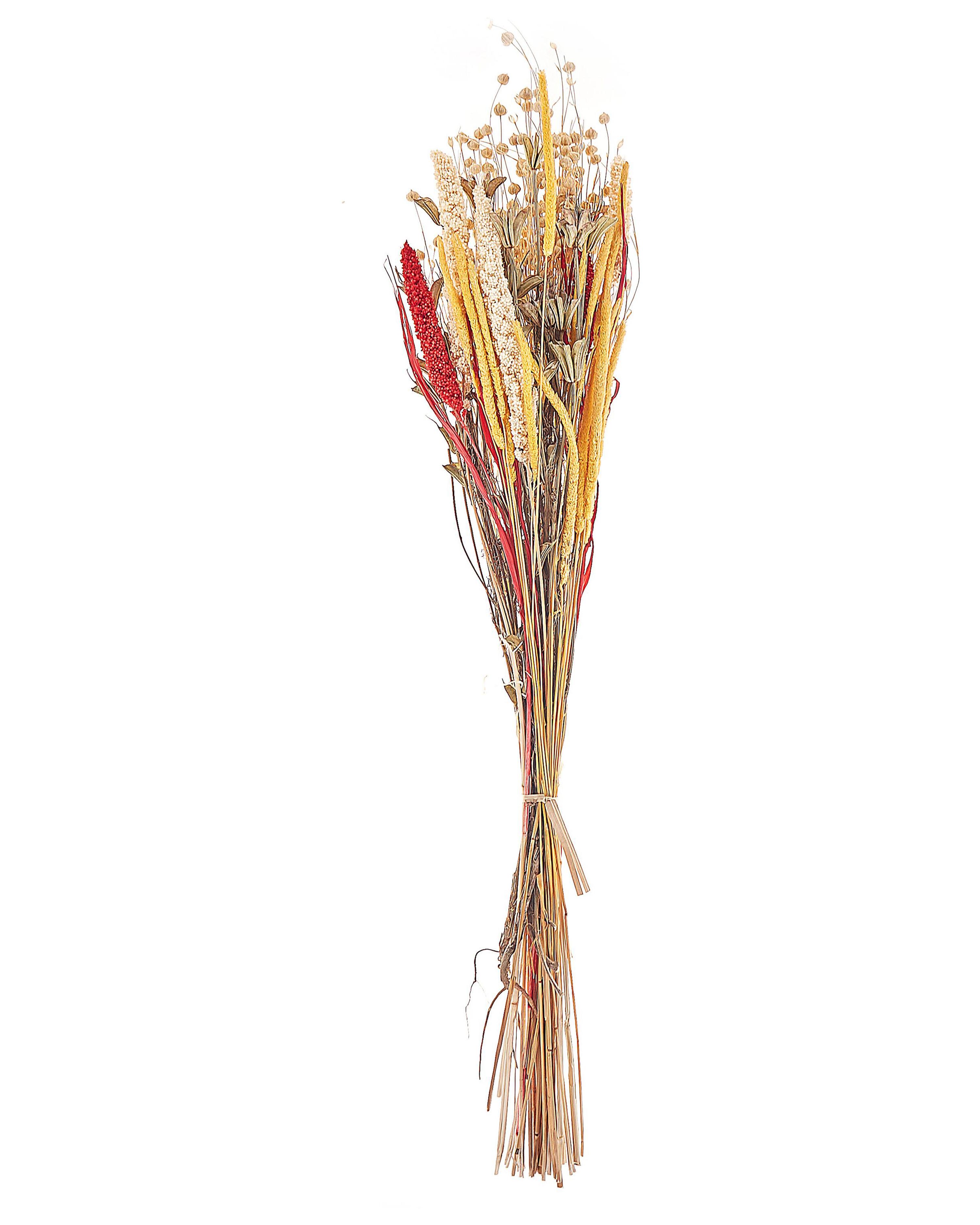 Droogbloemen boeket PAMPELUNA 65 cm Natuurlijk