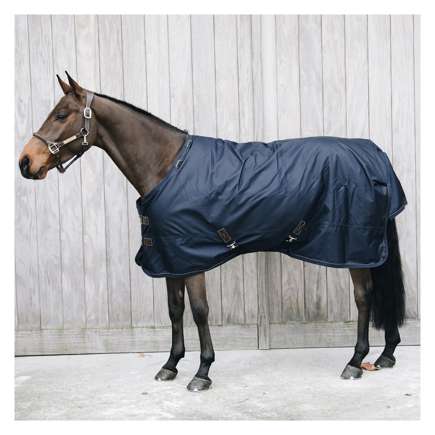 KENTUCKY Weidedecke All Weather Waterproof Pro 160 g - navy