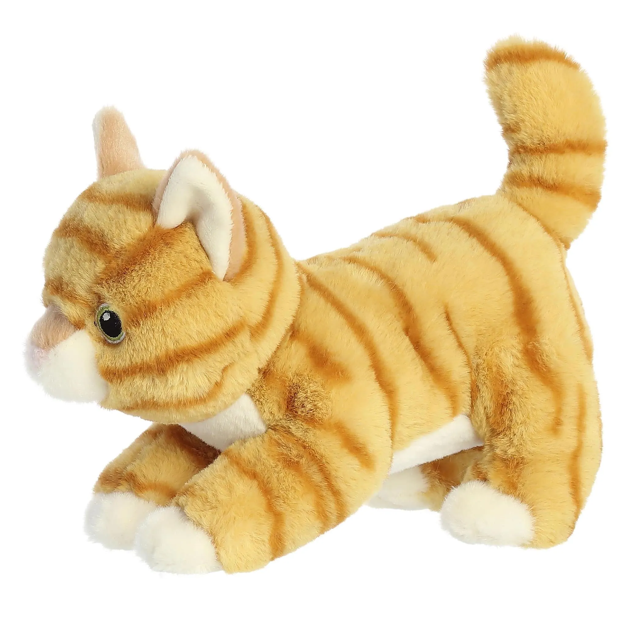 Aurora Chat Tabby 8.5
