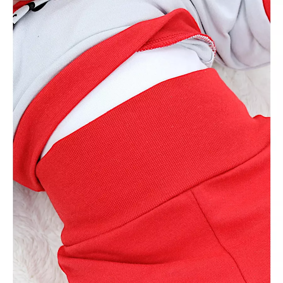 TupTam Baby Mädchen Langarmshirt Babyhose Outfit 2teilig graurot