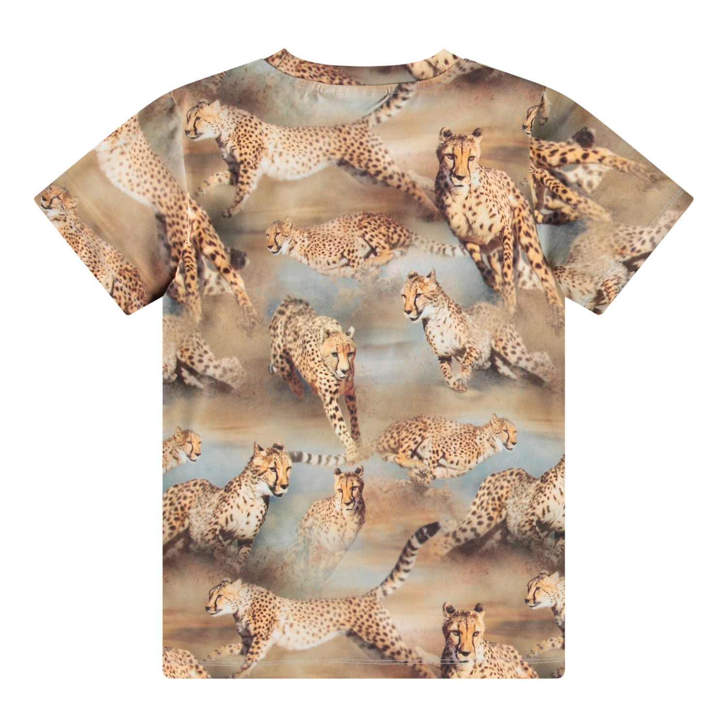 Ralphie - Fast Cheetahs