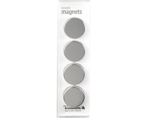 Decoratieve magneet Zilver set van 4 zilver