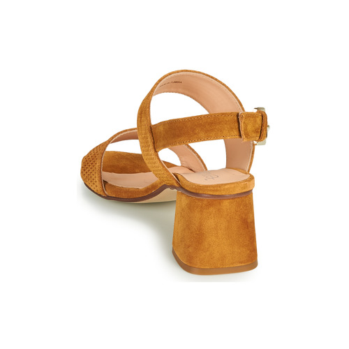 Fericelli - MARRAK - Camel