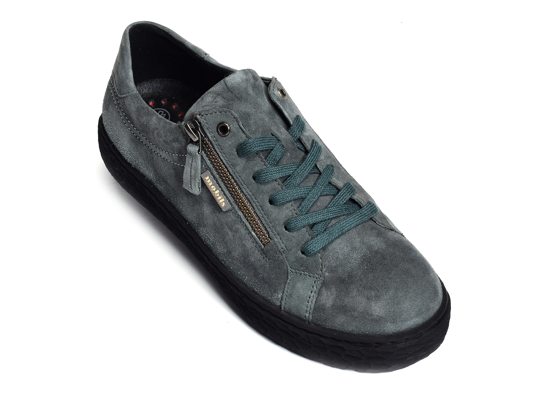Laula gris bleu