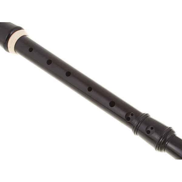 Aulos 209B 