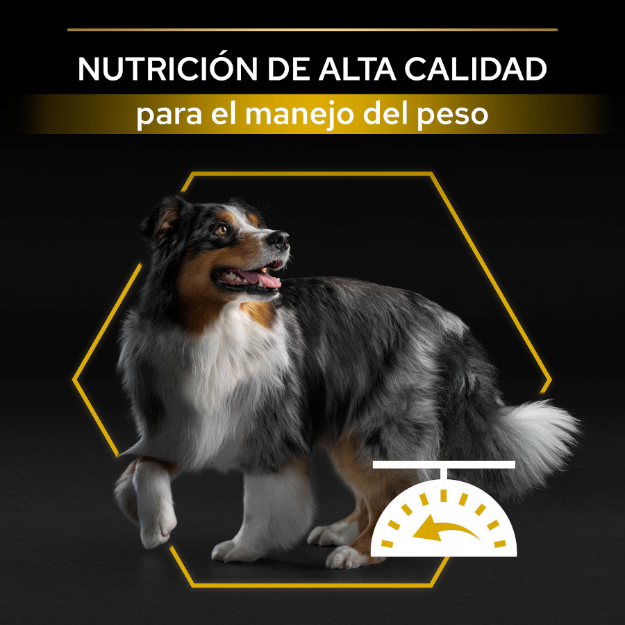 Pro Plan Adult All Sizes Light/Esterilizada Ração para Cães Sabor Peixe Branco