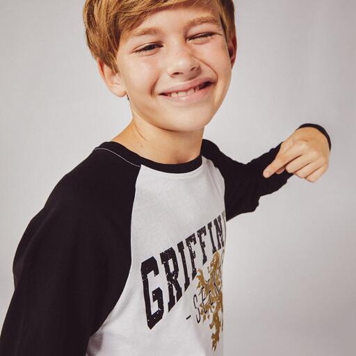 Camiseta do Harry Potter