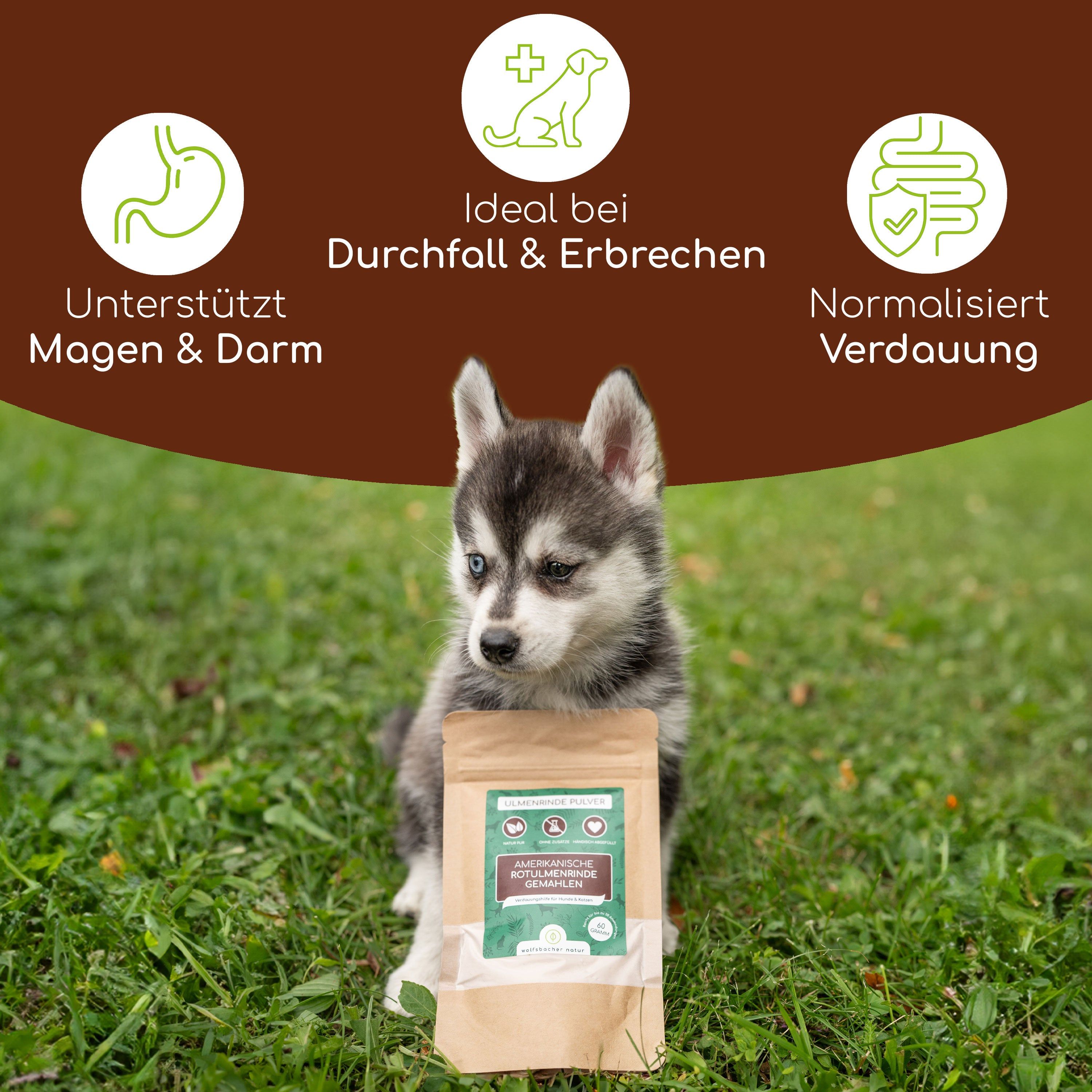Wolfsbacher Natur Ulmenrinde Pulver