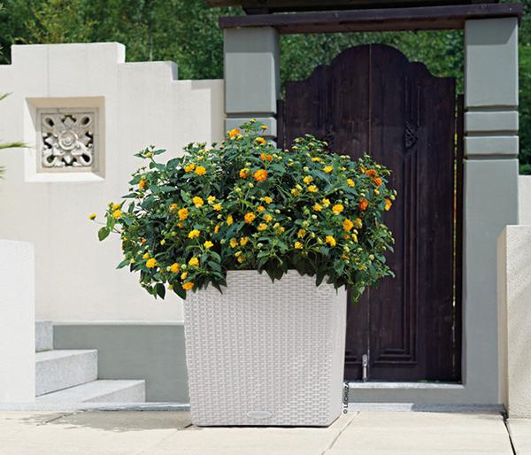 LECHUZA® Kunststoff-Topf Cube Cottage,