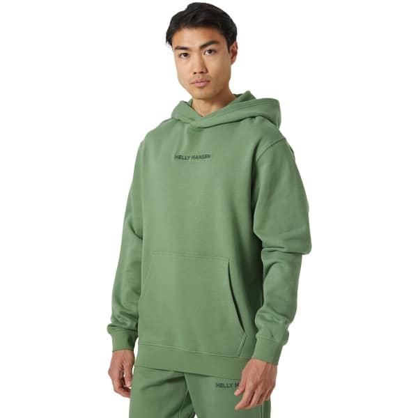 Sweatshirt HELLY HANSEN CORE GRAPHIC SWEAT HOODIE JADE