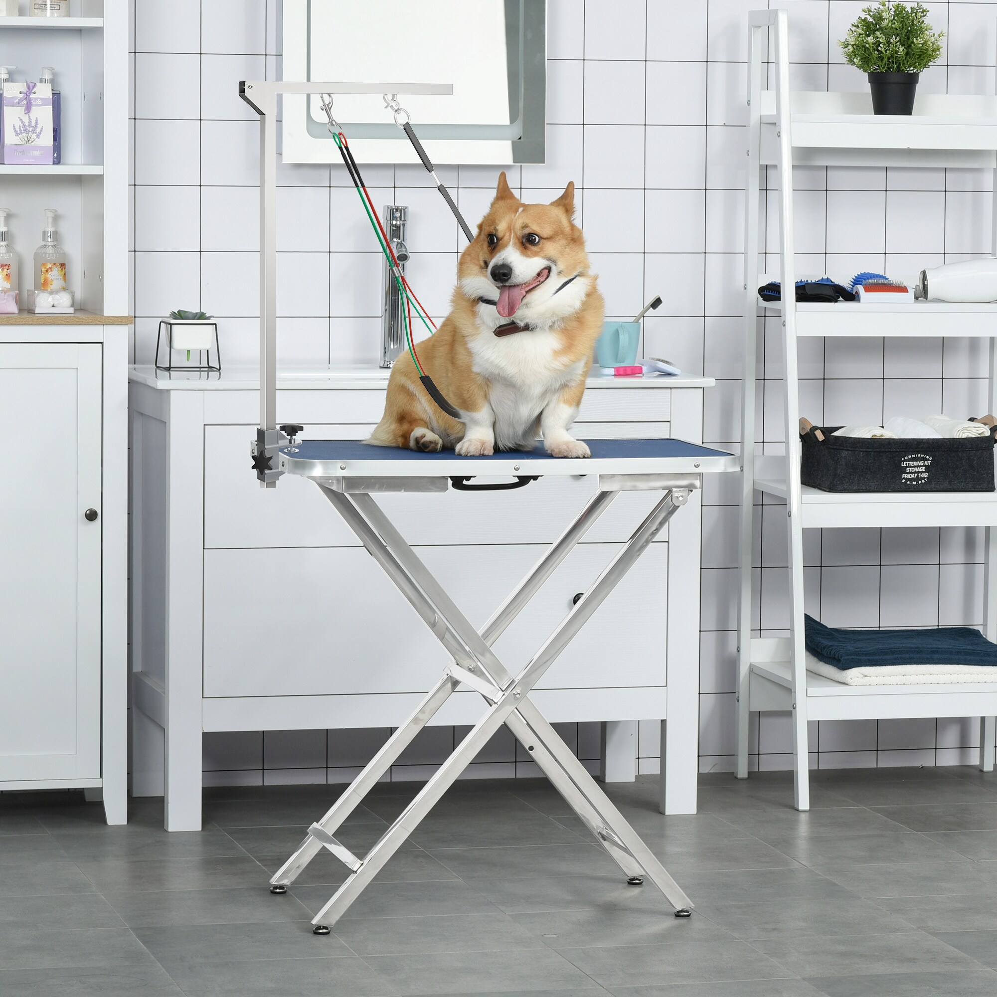 PawHut Haustier Fellpflege Trimmtischarm mit Nylonseil silber 36L x 8B x 74H cm