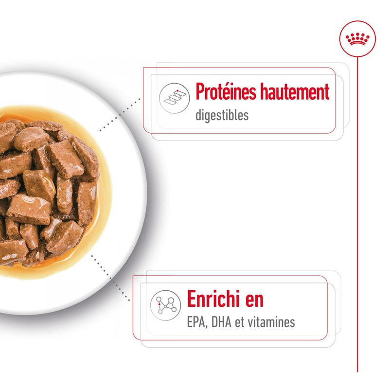 Royal Canin Maxi Ageing en sauce