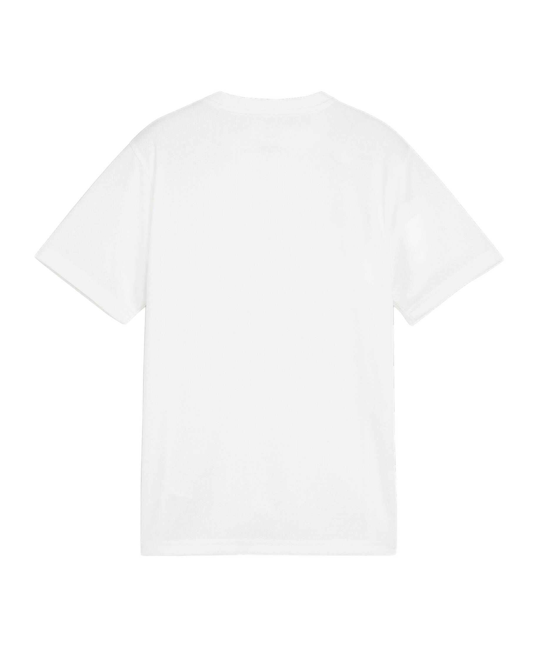 Puma| Kinder Fußball - Teamsport Textil - T-Shirts teamGOAL Trikot Kids