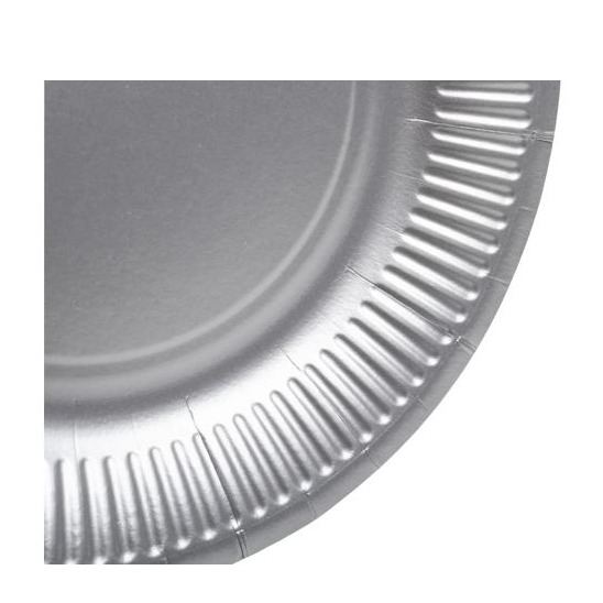(10er Set) Ø23cm Pappteller Einweg Papier Teller Party Geschirr Tisch Deko (79311I) - Silber