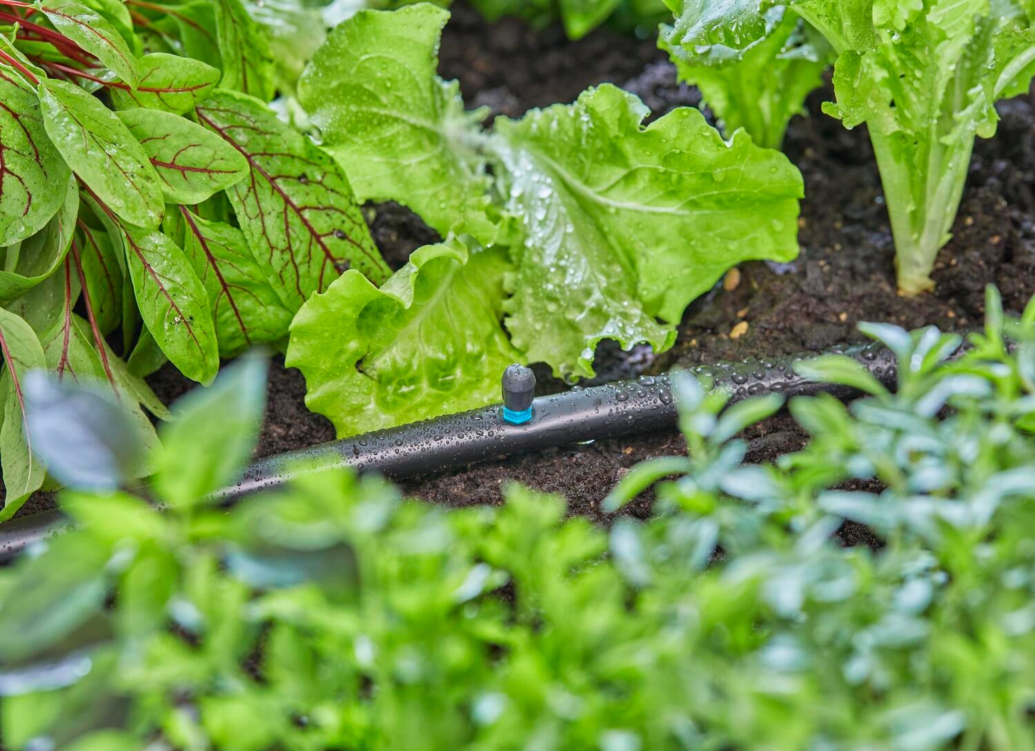 Gardena Micro Drip systeem sproeier 90А 5 stuks