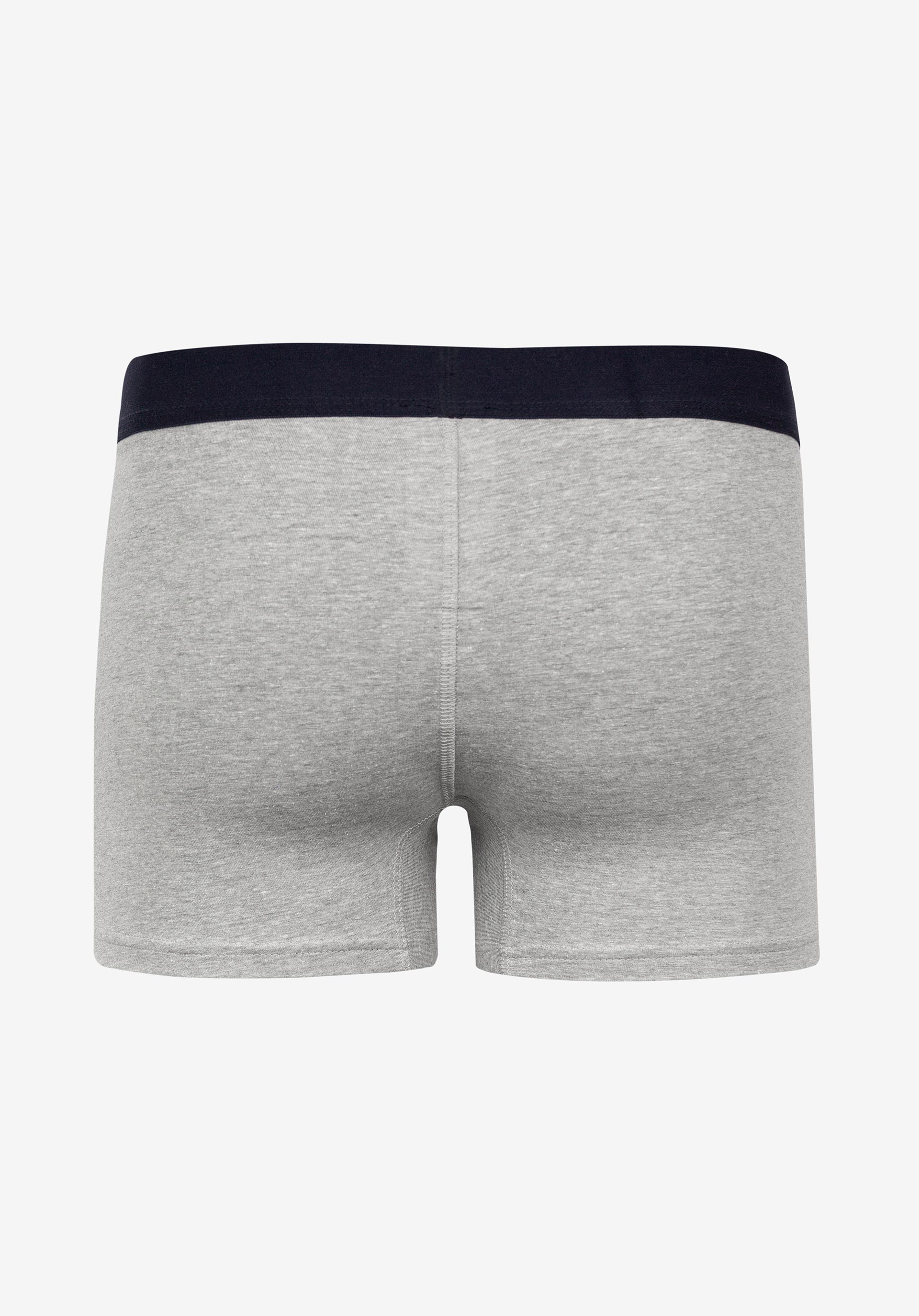 Underwear Cinza claro melange
