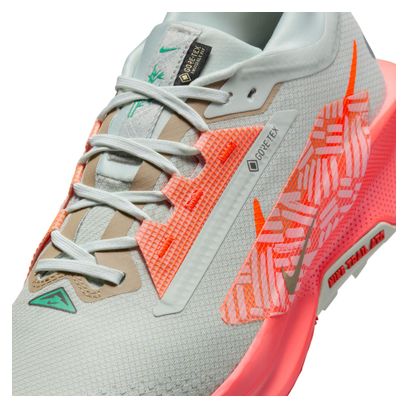 Chaussures Trail Nike Pegasus Trail 5 GTX Gris/Orange Homme