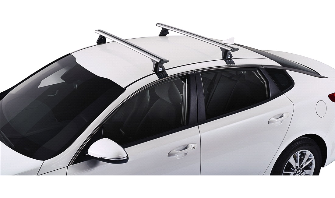 Lastholder CRUZ 2 bars Airo T118
