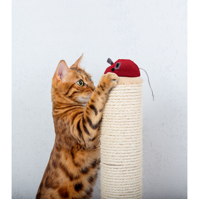 Katzenspielzeug - Spielzeugmaus - 1 Stück