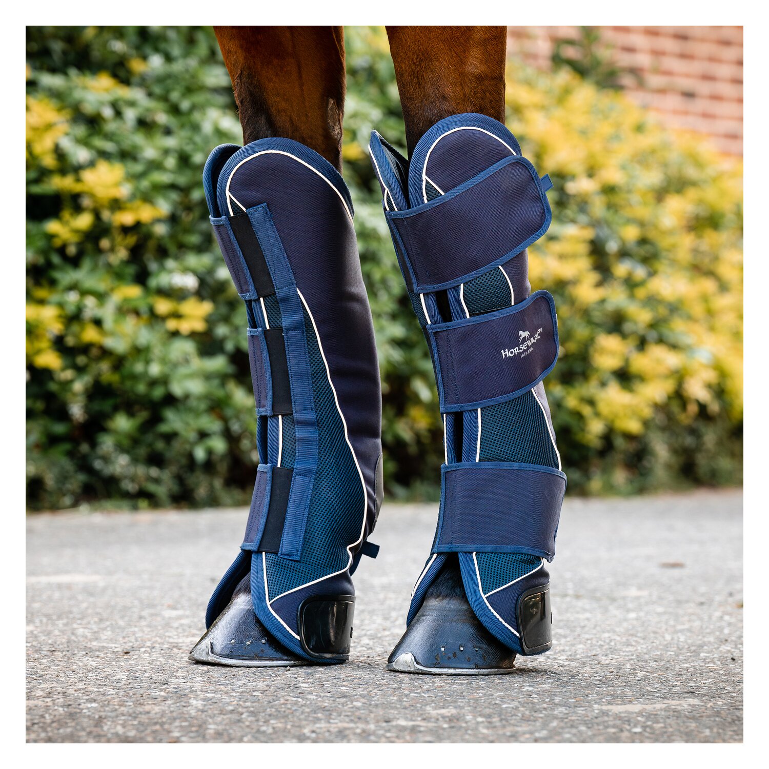 HORSEWARE Signature Transportgamaschen  - navy