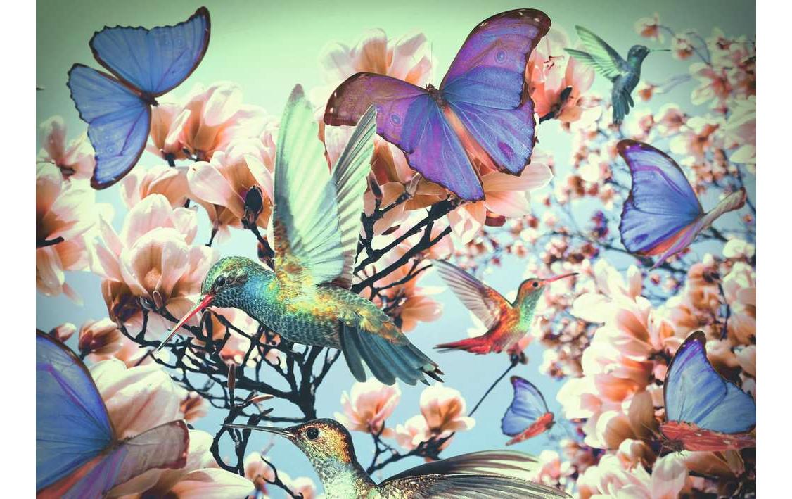 Puzzle HummingbirdAus der Reihe «Puzzle Moment» von Ravensburger