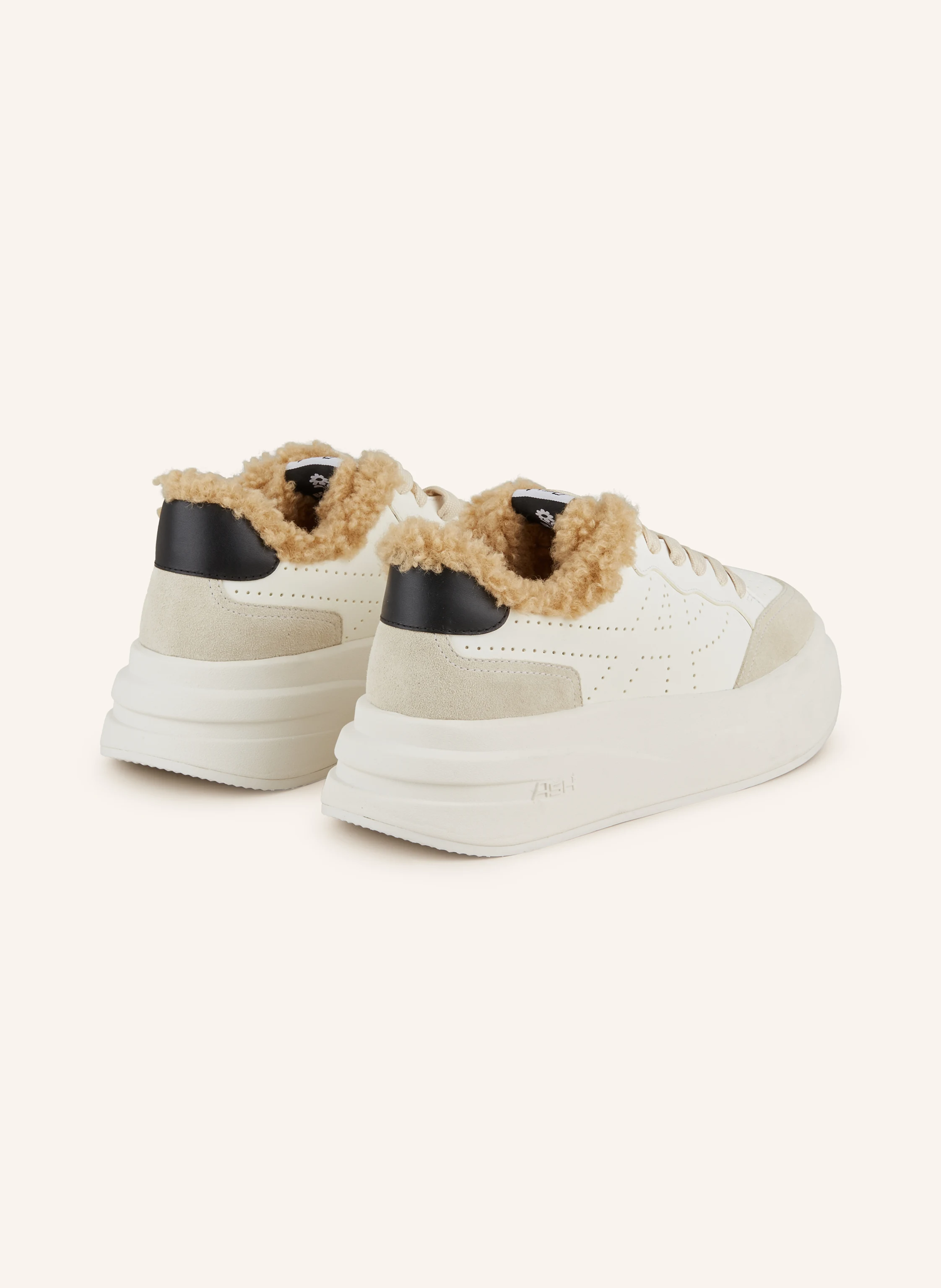 ash Sneaker IMPULS