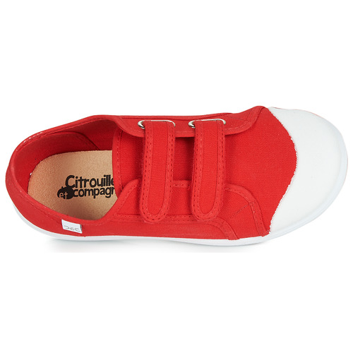 Citrouille et Compagnie - GLASSIA - Rouge
