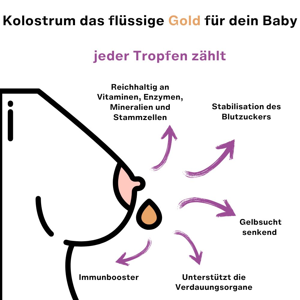 myEphelia Kolostrumspritze 5er Set
