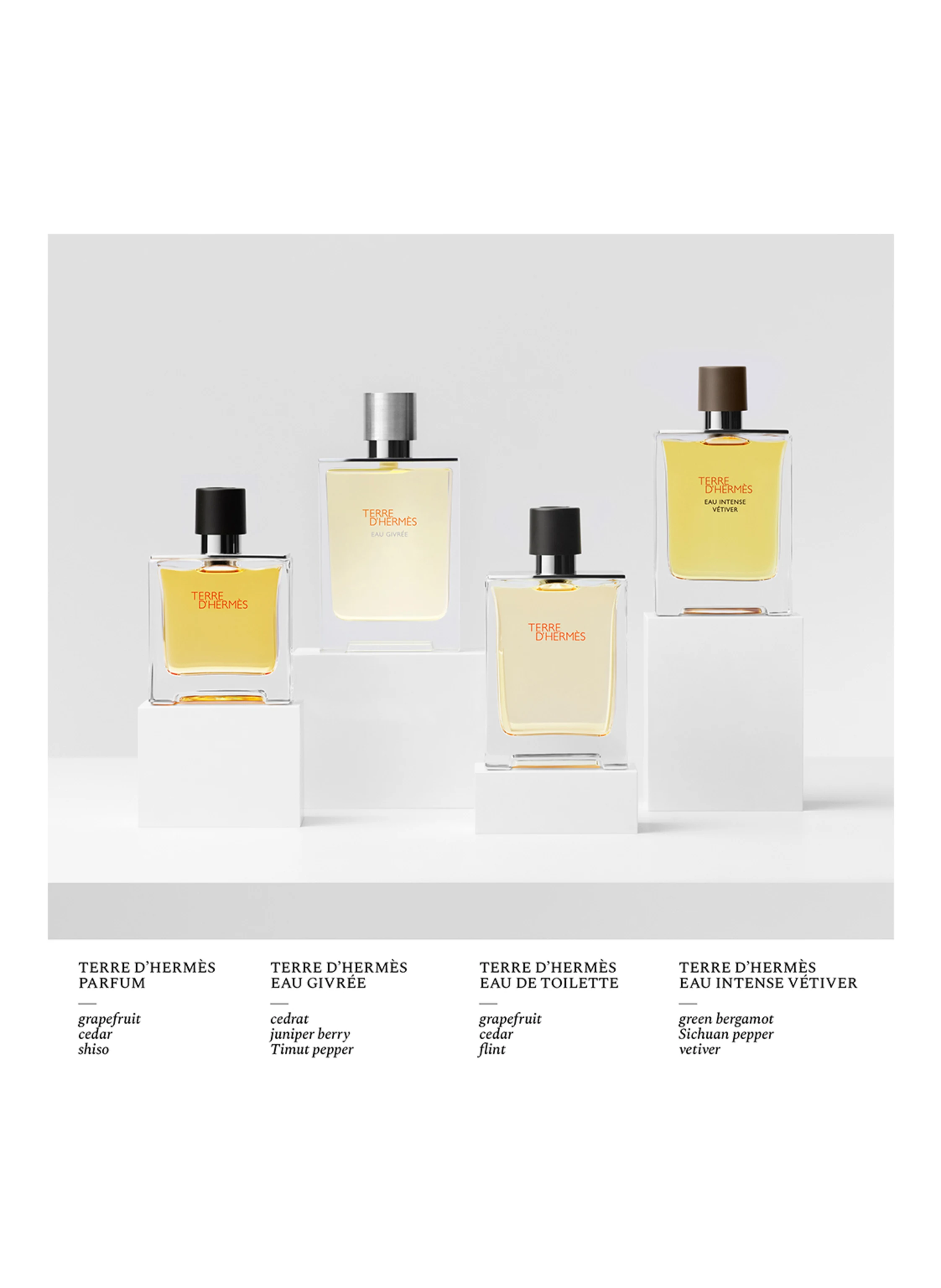 HERMÈS TERRE D’HERMÈS EAU GIVRÉE