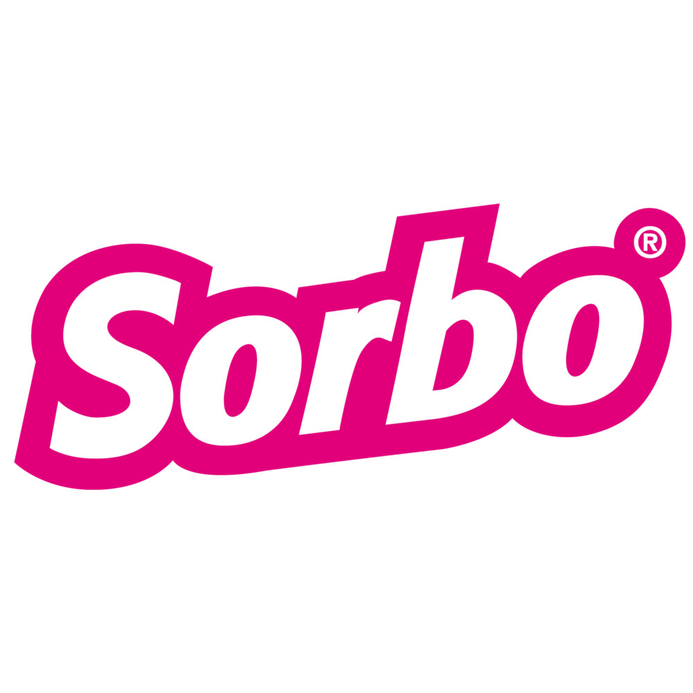 Sorbo Viscose Spons Large Duo Actiepack2 stuks