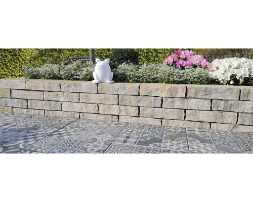 iBrixx Rustieke schelpkalksteen wandsteen 40 x 20 x 10 cm
