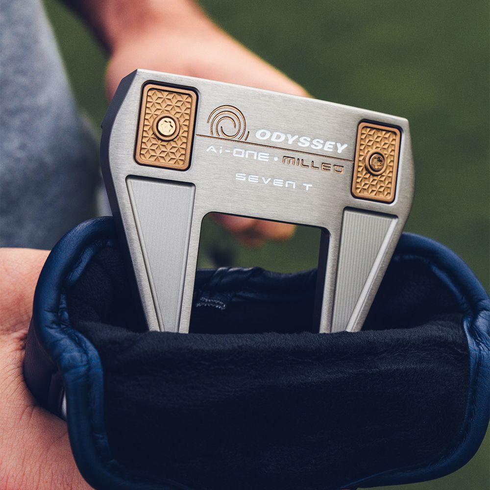 Ai-ONE Milled Seven T DB Silver Putter