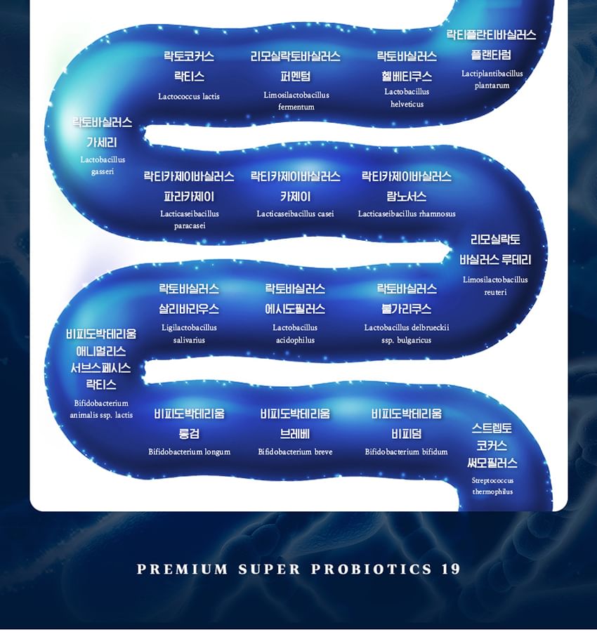 Vitamin Village - Super Probiotics 19 Bundelset