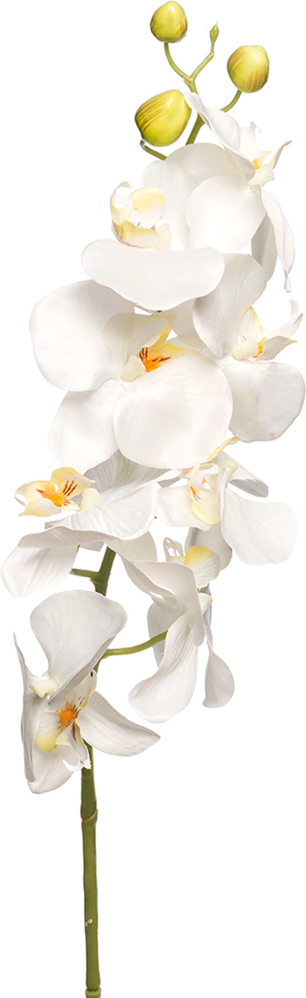 Intratuin kunstbloem Orchidee wit 100 cm
