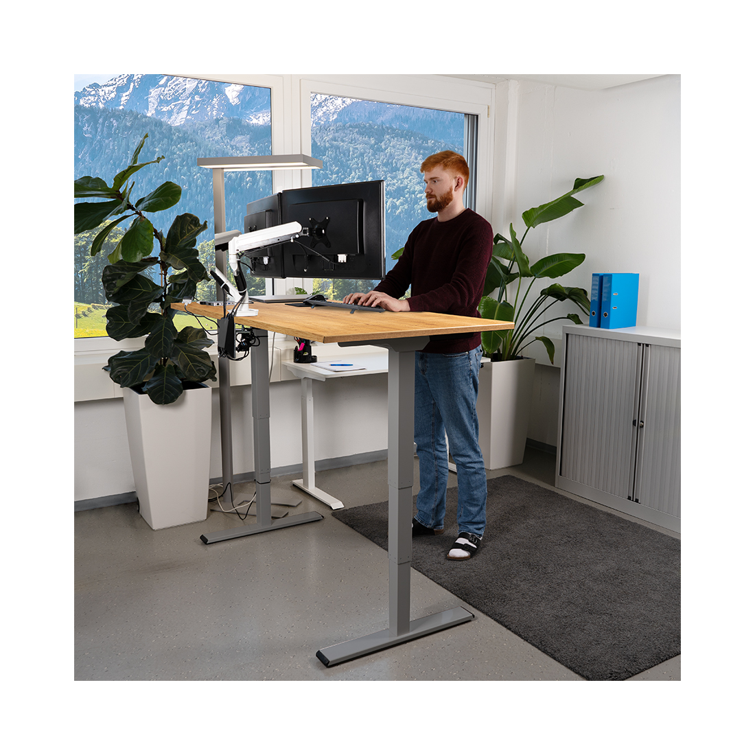 Contini höhenverstellbarer Bürotisch 1.6x0.8m Eichendekor / Gestell dunkelgrau