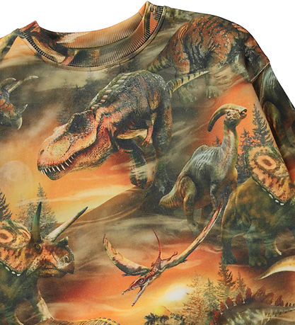 Molo Sweatshirt - Monti - Dino Quaste