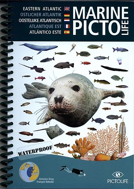 PICTOLIFE - PICTO ATLANTIQUE EST