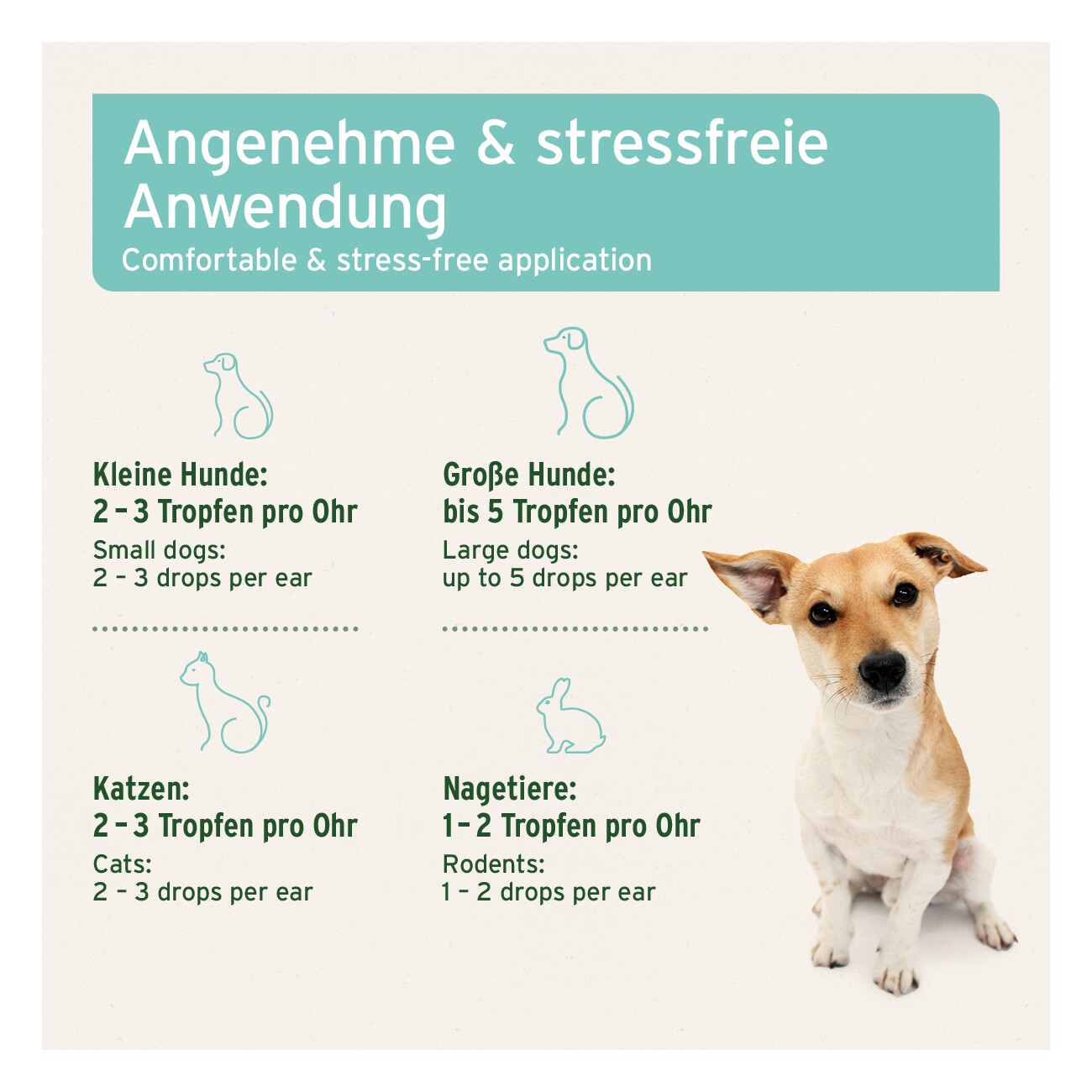 AniForte Ohrmilbenöl 20ml