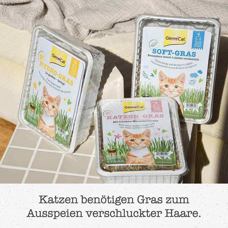 Gimpet Soft Gras für Katzen, 100 g
