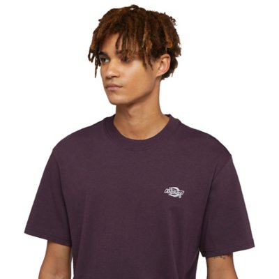 Tee-shirt à manches courtes homme Summerdale DICKIES
