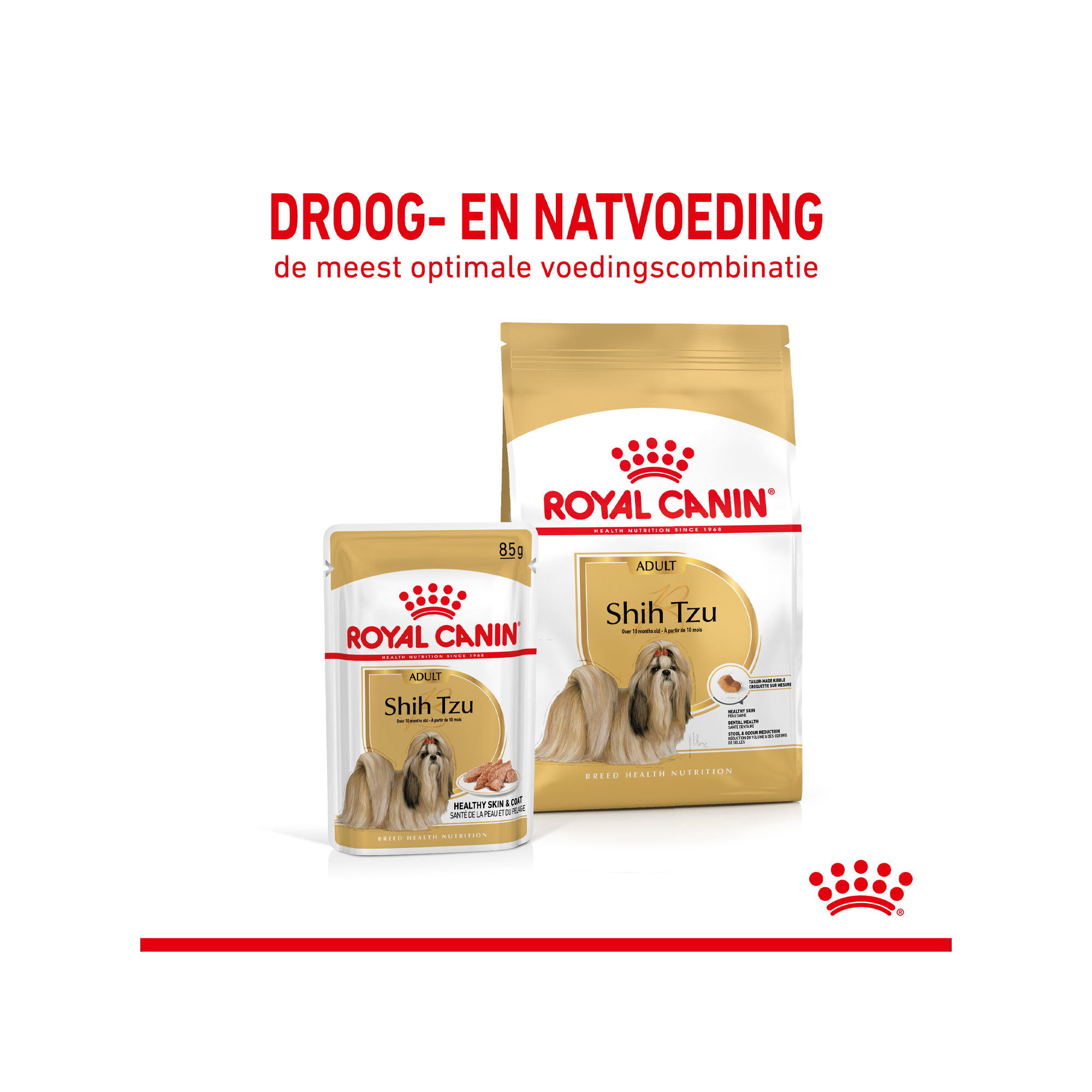 Royal Canin Shih Tzu Wet