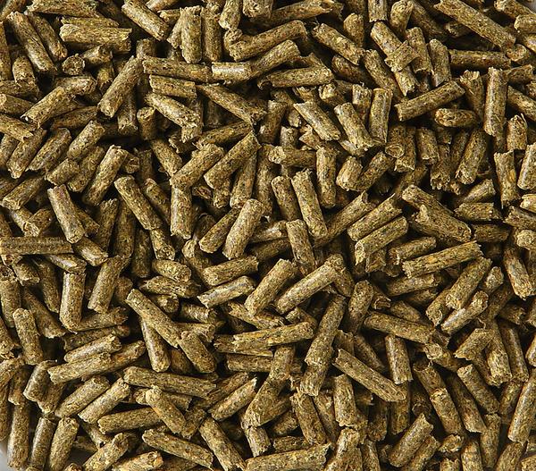 Dehner Lieblinge Zwergkaninchenfutter-Pellets